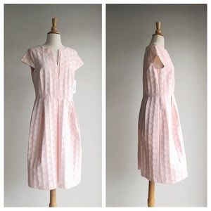 NWT HELENE BERMAN | Pink Jacquard Polka Dot Dress